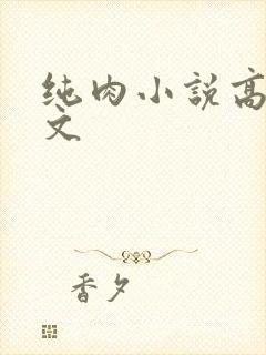 纯肉小说高h辣文封面