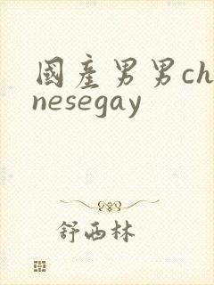 国产男男chinesegay