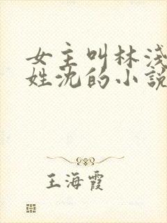 女主叫林浅男主姓沈的小说