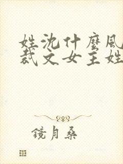 姓沈什么风的总裁文女主姓安封面