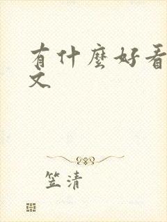 有什么好看的h文