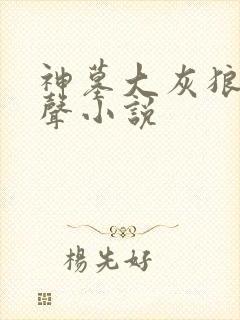 神墓大灰狼版有声小说封面