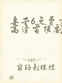 妻子6免费完整高清电视剧看