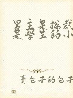 男主是总裁女主是学生的小说