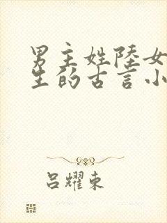 男主姓陆女主重生的古言小说