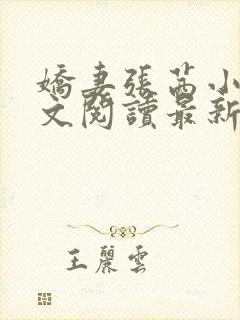 娇妻张茜小说全文阅读最新章节更新