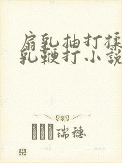 扇乳抽打揉捏虐乳鞭打小说