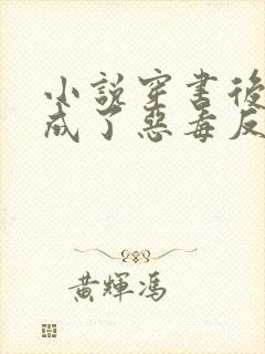 小说穿书后,我成了恶毒反派的亲妈