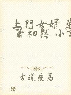 上门女婿 叶辰 萧初然 小说封面