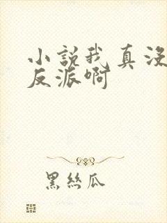 小说我真没想当反派啊封面