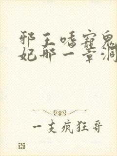 邪王嗜宠鬼医狂妃哪一章洞房