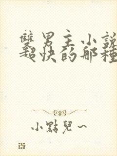 双男主小说车速超快的那种封面