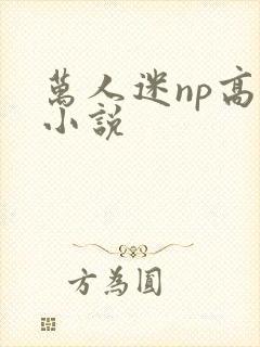 万人迷np高h小说