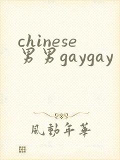 chinese男男gaygay