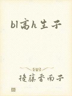 bl高h生子