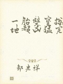 一胎双宝总裁爹地超凶猛完整版免费阅读封面