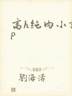 高h纯肉小说np封面