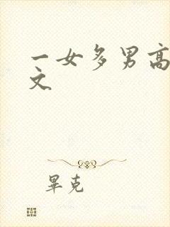 一女多男高h辣文封面