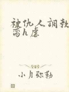 被仇人调教成禁脔h虐封面