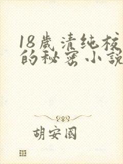 18岁清纯校花的秘密小说免费阅读