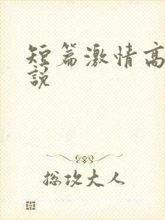 短篇激情高h小说
