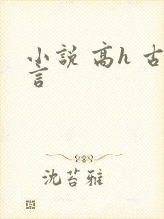小说 高h 古言