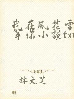 我在风花雪月里等你小说txt资源