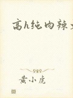 高h纯肉辣文