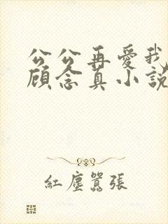 公公再爱我一次顾念真小说免费阅读全文