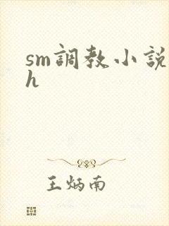sm调教小说高h