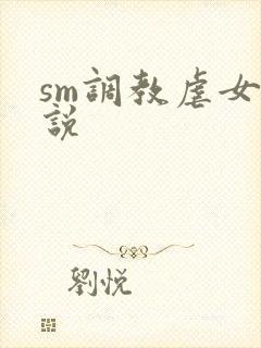 sm调教虐女小说