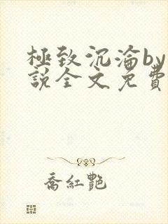 极致沉沦by小说全文免费阅读