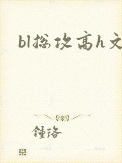 bl总攻高h文