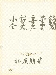 小说妻子的秘密全文免费阅读全文