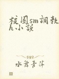校园sm调教高h小说