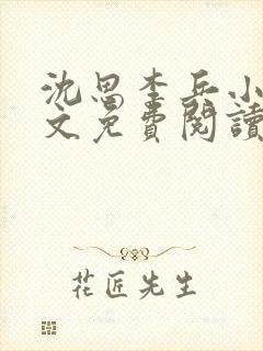 沈思李兵小说全文免费阅读