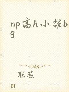 np高h小说bg