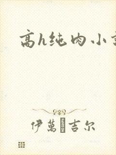 高h纯肉小说文封面