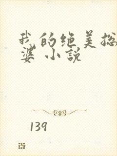 我的绝美总裁老婆 小说封面