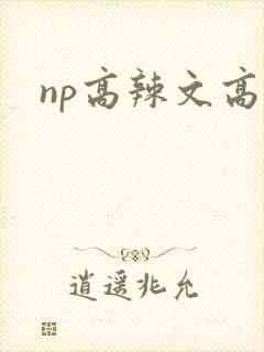 np高辣文高h封面