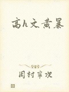 高h文黄暴