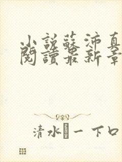 小说苏沛真全文阅读最新章节更新时间