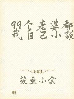 99个老婆都是我自己小说免费阅读