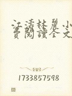 江涛林丽小说免费阅读全文