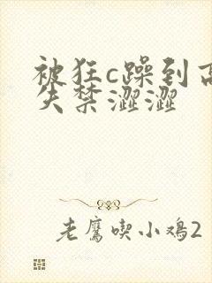 被狂c躁到高潮失禁涩涩