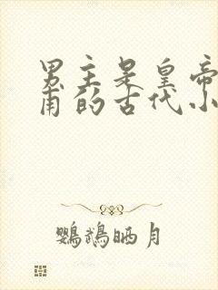 男主是皇帝姓皇甫的古代小说