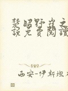 楚昭野崔之棠小说免费阅读最新章节