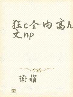 狂c全肉高h辣文np