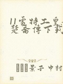 11处特工皇妃楚乔传下载封面