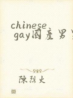 chinese gay国产男男
